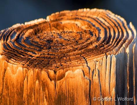 Weathered Piling_30800.jpg - Photographed along the Gulf coast near Port Lavaca, Texas, USA.